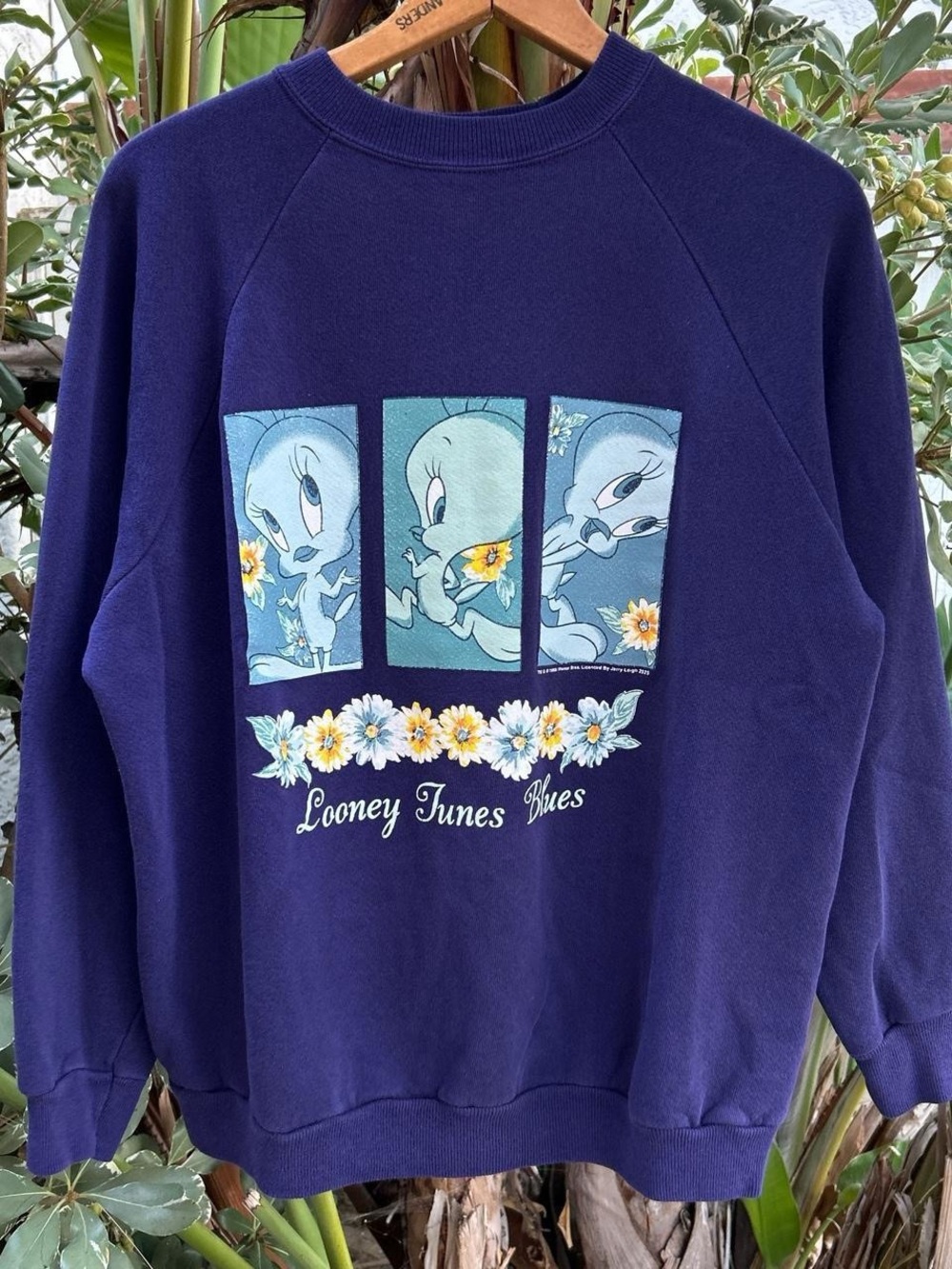 Vintage 1995 Looney Tunes Blues Tweety Bird Graphic Sweatshirt XL